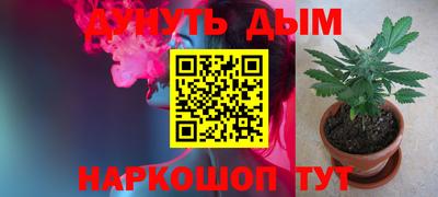 молекула духа Кулебаки