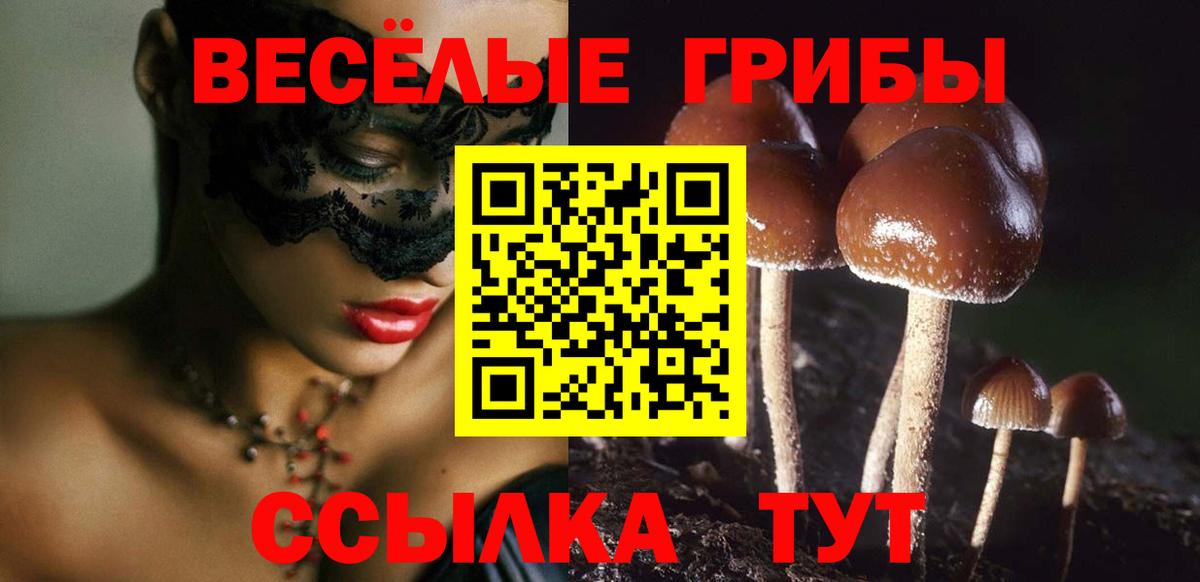 Усть-Илимск  Галлюциногенные грибы GOLDEN TEACHER  Вход с VPN 